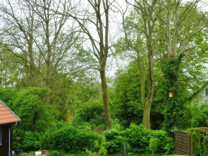 Gesine'S Huuske Villa Eilsum Ngoại thất bức ảnh